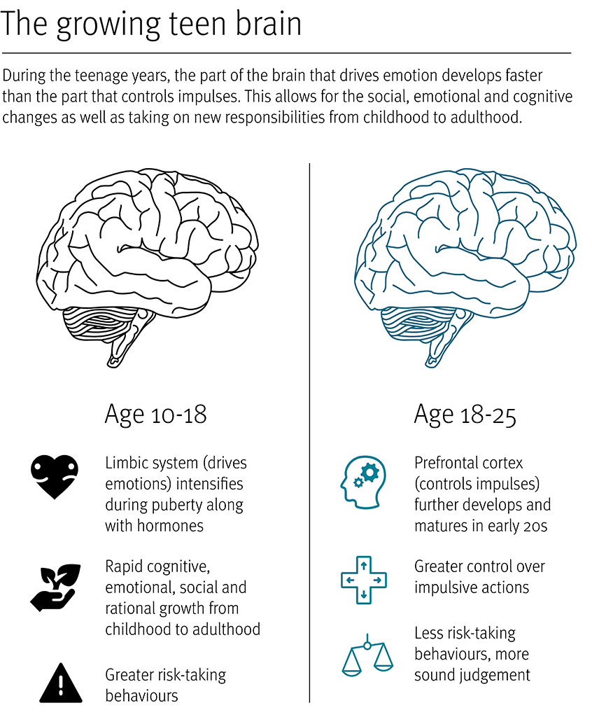 Teen brain development